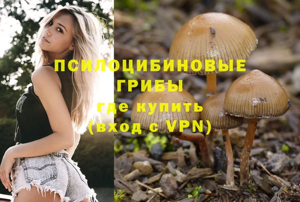 таблы Инсар