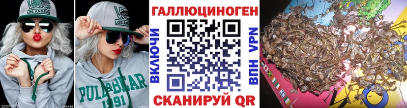 Купить где  Тайшет  Галлюциногенные грибы GOLDEN TEACHER 